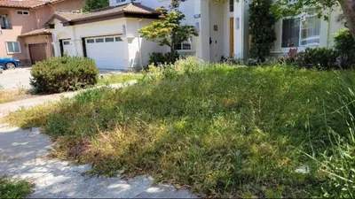 Yard Waste 101: What to Do With Branches, Leaves, and Grass Clippings